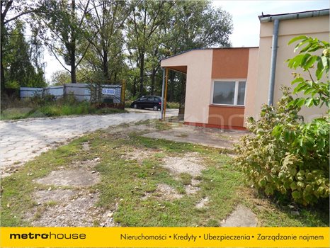 Działka rolna na sprzedaż Chełm, Chełm 4 843m2 Foto 5
