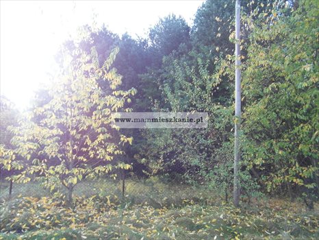Działka budowlana na sprzedaż Bydgoszcz, Smukała Górna 1 101m2 Foto 3