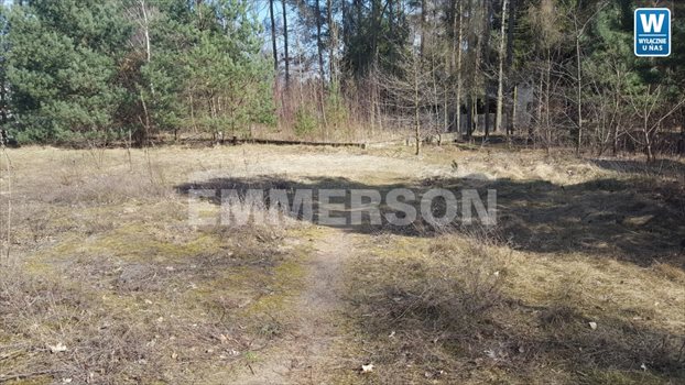 Działka budowlana na sprzedaż Matyldów 1 240m2 Foto 4