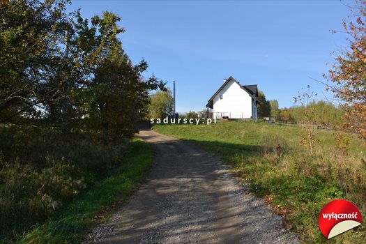 Działka budowlana na sprzedaż Grajów 3 700m2 Foto 2