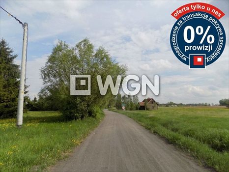 Działka inna na sprzedaż Krzywe 3 000m2 Foto 7