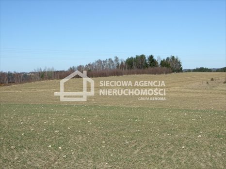 Działka budowlana na sprzedaż Ramleje 1 186m2 Foto 5