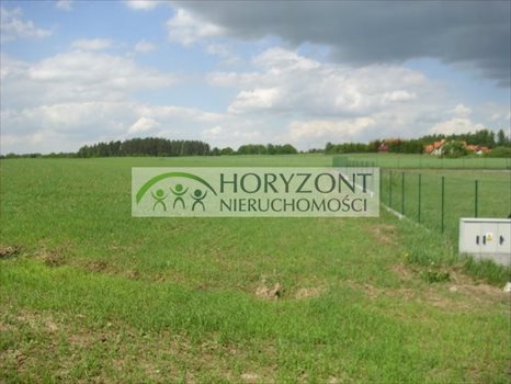Działka rolna na sprzedaż Małkowo 3 172m2 Foto 5