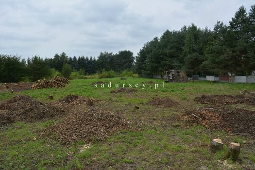 Działka budowlana na sprzedaż Kraków, Dębniki, Kliny, Spacerowa 2 609m2 Foto 6