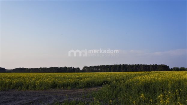 Działka rolna na sprzedaż Łosiniec 188 901m2 Foto 1
