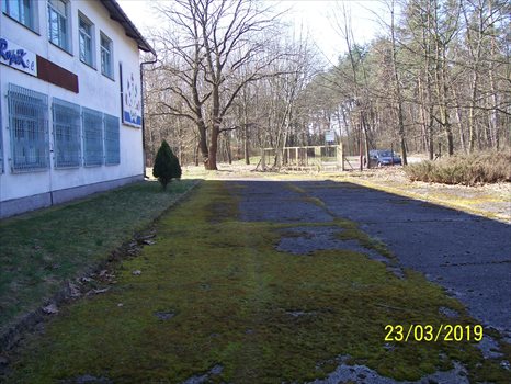 Lokal użytkowy na sprzedaż Przyborów, Droga na Borzęcin 650m2 Foto 4