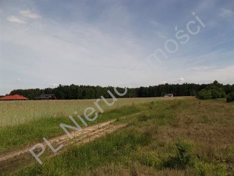 Działka budowlana na sprzedaż Książenice 1 600m2 Foto 5