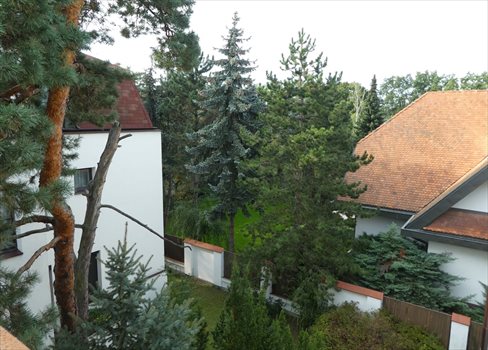 Mieszkanie trzypokojowe na sprzedaż Warszawa, Wawer, ul. Michała Kajki 101m2 Foto 5