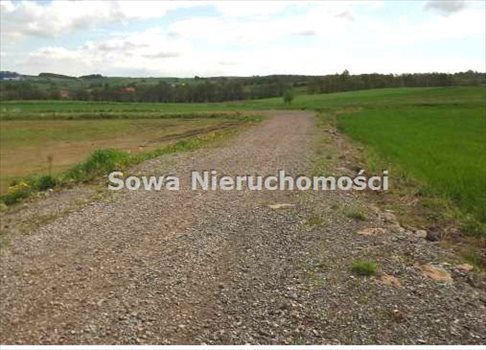 Działka budowlana na sprzedaż Wałbrzych, Poniatów 1 300m2 Foto 4