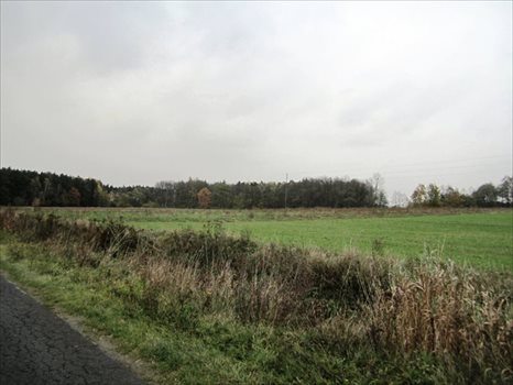 Działka inna na sprzedaż Przygodziczki 2 900m2 Foto 1