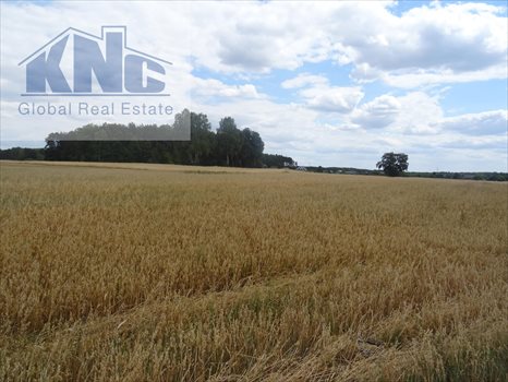 Działka budowlana na sprzedaż Lubiaszów 1 500m2 Foto 4