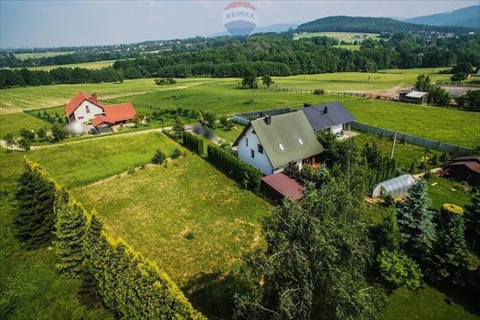 Działka budowlana na sprzedaż Grodziec 1 103m2 Foto 7