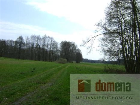 Działka siedliskowa na sprzedaż Dormowo 9 300m2 Foto 3