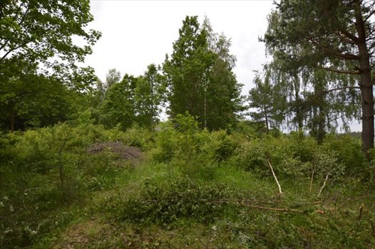 Działka budowlana na sprzedaż Bojano, Las, Tereny rekreacyjne, Lesoki 1 500m2 Foto 11