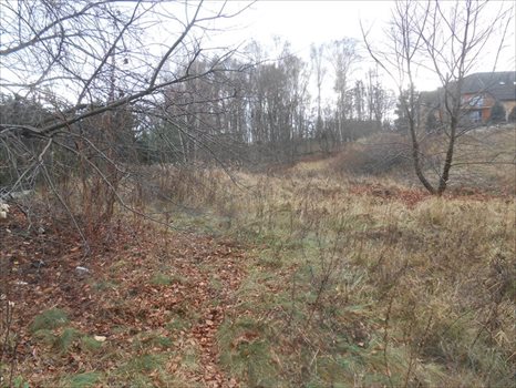 Działka budowlana na sprzedaż Poznań, Zieliniec, Sarnia 1 029m2 Foto 1