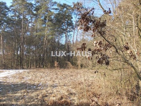 Działka budowlana na sprzedaż Bydgoszcz, Opławiec 2 150m2 Foto 6