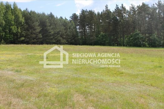 Działka budowlana na sprzedaż Lubowidz 955m2 Foto 3