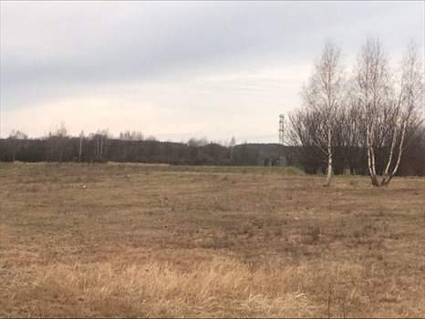 Działka budowlana na sprzedaż Radogoszcz 3 064m2 Foto 6