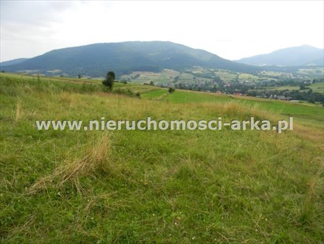 Działka budowlana na sprzedaż Dobra 1 700m2 Foto 4