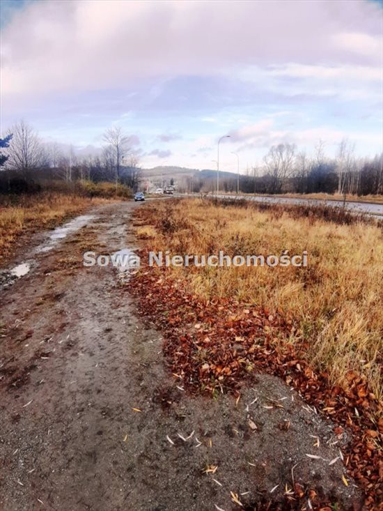 Działka inna na sprzedaż Wałbrzych, Biały Kamień 1 300m2 Foto 4