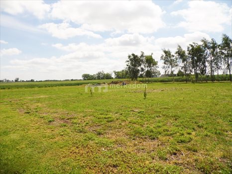 Działka budowlana na sprzedaż Przecław 1 301m2 Foto 3