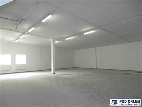 Lokal użytkowy na wynajem Bielsko-Biała, Złote Łany 300m2 Foto 3