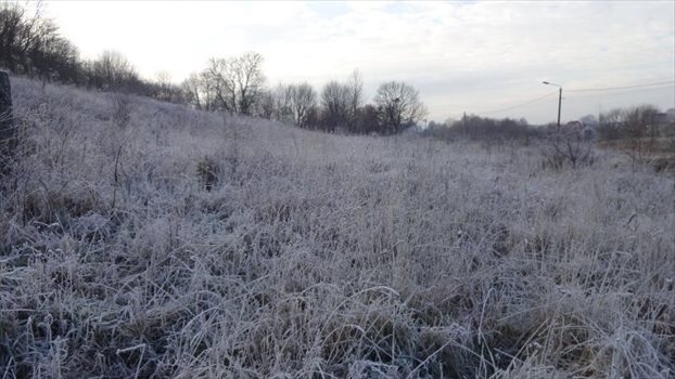 Działka budowlana na sprzedaż Tolkmicko, Tolkmicko 4 623m2 Foto 2
