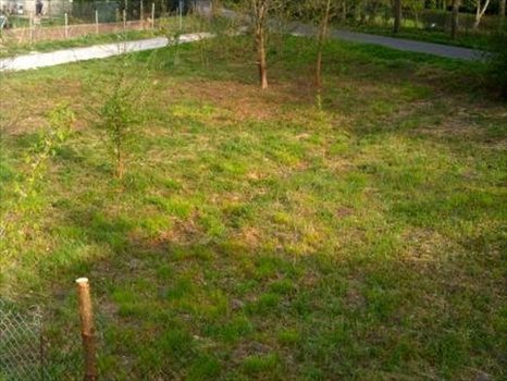 Działka budowlana na sprzedaż Warszawa, Wawer, Borowiecka 985m2 Foto 5