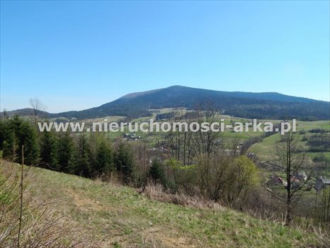Działka budowlana na sprzedaż Mszana Dolna 4 400m2 Foto 5