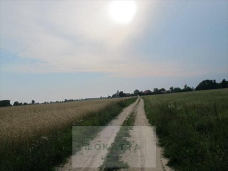 Działka rolna na sprzedaż Nowe Wrońska, Płońsk - Załuski 3 800m2 Foto 2