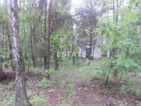 Działka budowlana na sprzedaż Rosanów, Wesoła 2 374m2 Foto 5