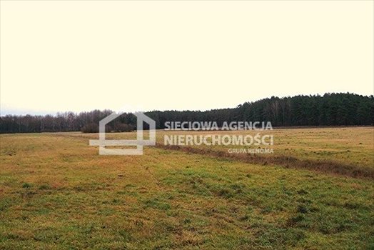 Działka leśna na sprzedaż Strzeczona 206 330m2 Foto 10