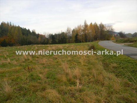 Działka budowlana na sprzedaż Żegocina 3 100m2 Foto 4