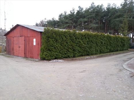 Lokal użytkowy na sprzedaż Olsztyn, Olsztyn 236m2 Foto 2