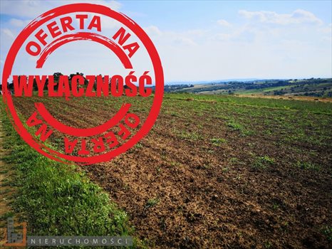 Działka budowlana na sprzedaż Górna Wieś 1 204m2 Foto 5