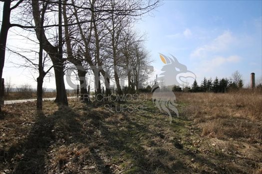 Działka inna na sprzedaż Bruskowo Wielkie 6 427m2 Foto 5