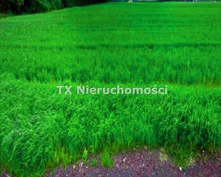 Działka budowlana na sprzedaż Gliwice, Brzezinka 847m2 Foto 3