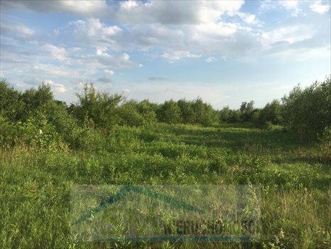 Działka budowlana na sprzedaż Dosin, działka budowlana do zabudowy jednorodzinnej i usług nieucią 900m2 Foto 9