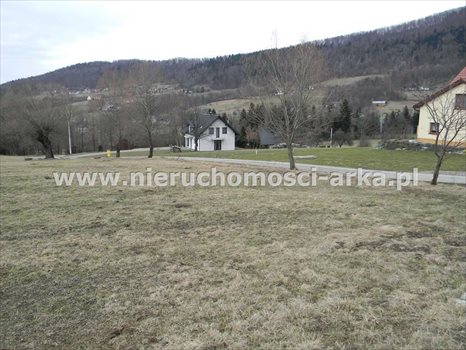 Działka budowlana na sprzedaż Sowliny 3 000m2 Foto 2