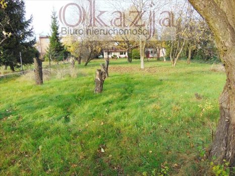 Lokal użytkowy na sprzedaż Katowice, Podlesie, Marzanny 250m2 Foto 3
