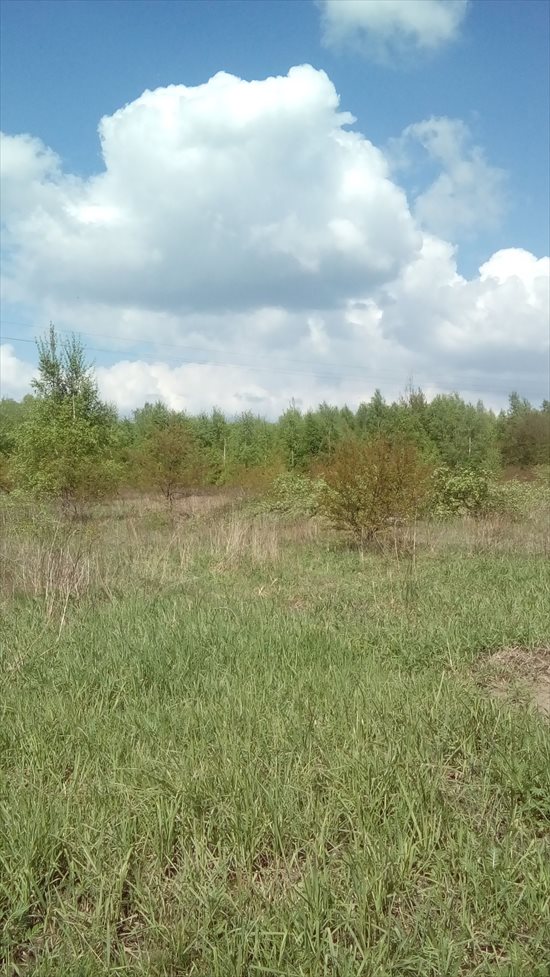 Działka rolna na sprzedaż Łódź, Widzew, Opolska 14 997m2 Foto 10
