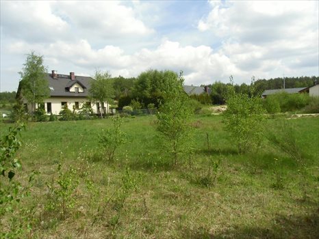 Działka budowlana na sprzedaż Bojano, Okrężna 2 565m2 Foto 4