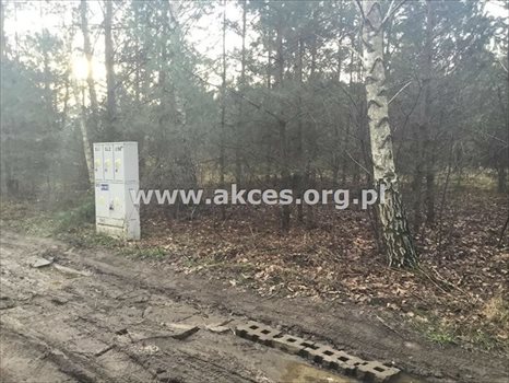 Działka budowlana na sprzedaż Łoś, Łoś 1 000m2 Foto 2