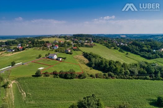 Działka budowlana na sprzedaż Bielowicko 3 223m2 Foto 4