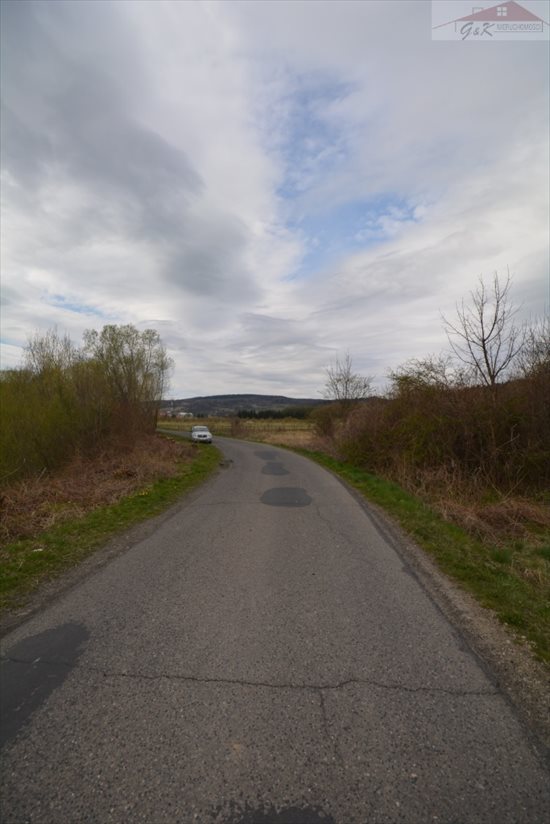 Działka rekreacyjna na sprzedaż Nowosiółki Dydyńskie 2 100m2 Foto 5