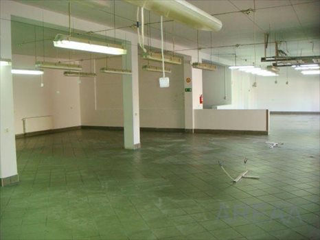 Lokal użytkowy na sprzedaż Mszczonów, Strefa Przemysłowa 800m2 Foto 1