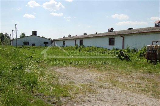 Lokal użytkowy na wynajem Nowogród, Nowogród 830m2 Foto 2