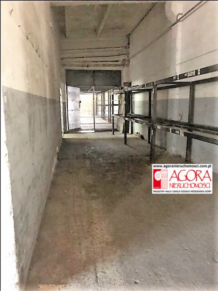 Lokal użytkowy na wynajem Kraków, Prądnik Biały 393m2 Foto 9