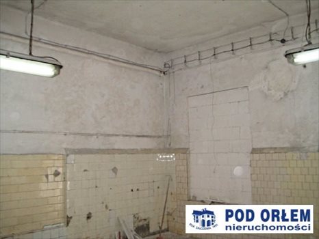 Lokal użytkowy na wynajem Bielsko-Biała, Centrum 257m2 Foto 4