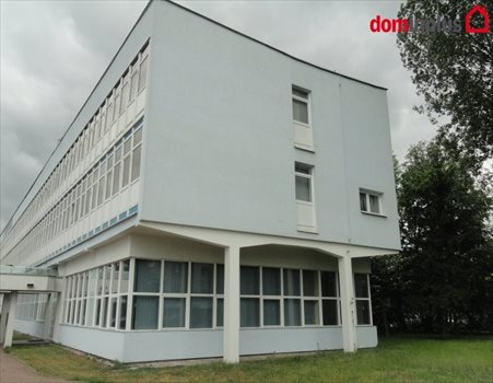 Lokal użytkowy na sprzedaż Toruń 5 600m2 Foto 4